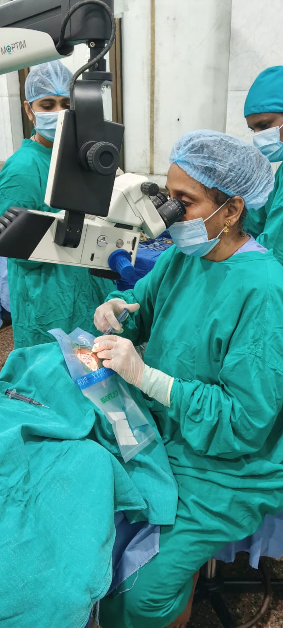 WhatsApp Image 2025-10-22 at 19.14.16